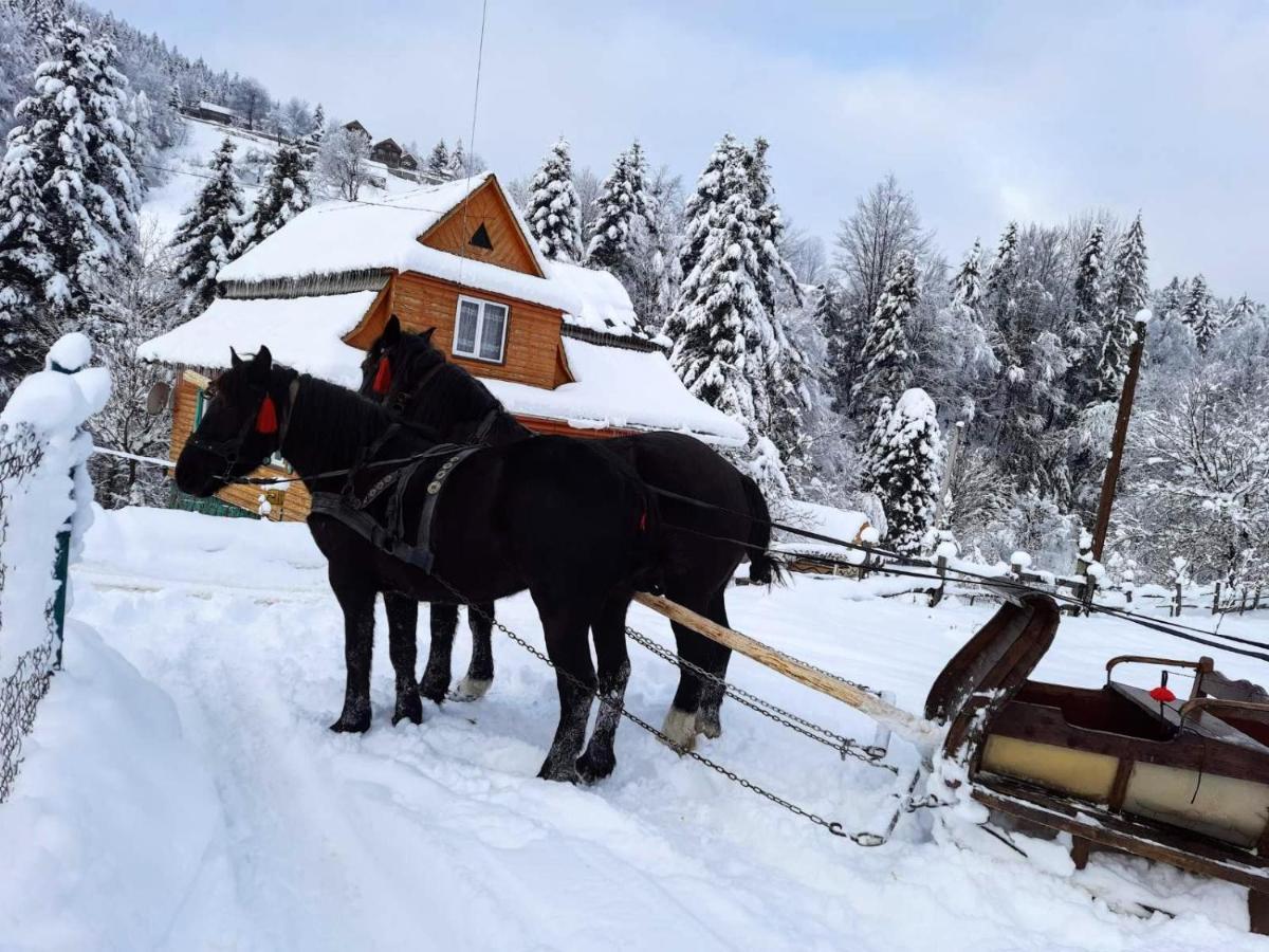 Cottage Kliverent Yaremche Eksteriør billede