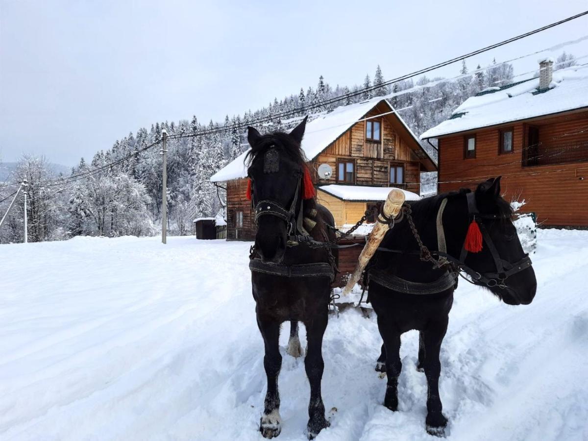 Cottage Kliverent Yaremche Eksteriør billede